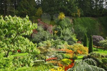 Masterpiece of landscape gardening art - Butchard - garden on island Vancouver in Canada