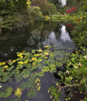 A pond and trees in well-known gardens Butchart Gardens on island Vancouver 