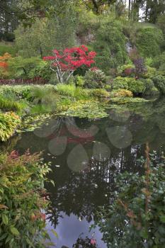  Lake and trees in well-known gardens Butchart Gardens on island Vancouver
