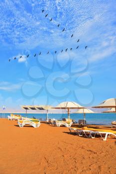 A nice sunny day at the Dead Sea resort. Yellow beach chairs and umbrellas waiting for tourists. Over the sea flying flock of cranes