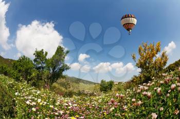 A huge bright balloon flying over scenic hills, blooming buttercups