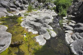 Canyon with cut basalt walls and a stream with green ooze