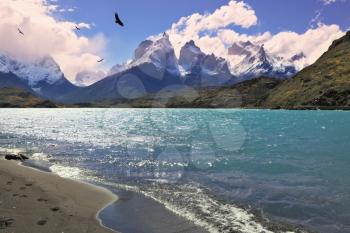 Sandy Beach Lake Pehoe in the national park Torres del Paine, Chile. The majestic cliffs of Los Kuernos. Above the lake fly birds of prey - the condor