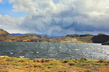 Windy day in the National Park Torres del Paine. Lake with bright blue water bubbling and foaming