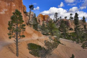 
The well-known orange rocks in Bryce canyon in state of Utah USA
