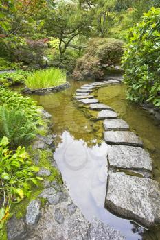  A path from the wet stones, laid through a pond in Japanese  garden