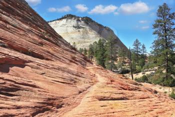 Zion National Park, USA. Scenic multicolored cliffs create an unforgettable landscape