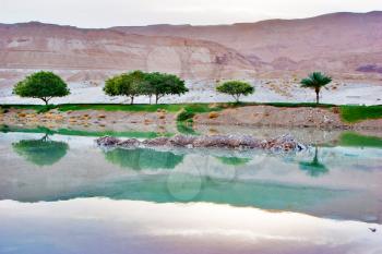  A place for walks on coast of the Dead Sea