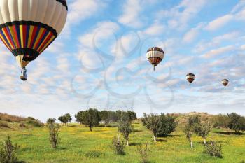 Four large bright balloons with a passenger basket fly by over spring blossoming fields