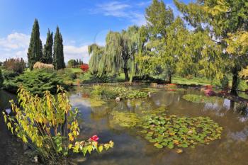 Quiet picturesque pond surrounded by a bright colored shrubs and trees.  Gorgeous European park