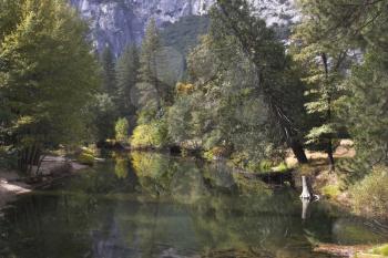  The autumn shallow river in mountain reserve Yosemite-park