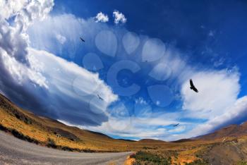 Journey into a far country. Gravel road, incredible forms clouds and Andean condors. The picture was taken Fisheye lens