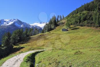 Swiss Alps. The scenic road among green alpine meadow on the mountain