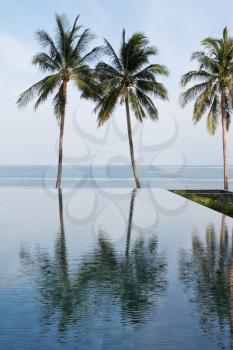The magnificent swimming pool built on the beach of Koh Samui. Blue ocean and the pool divided three picturesque palm trees.