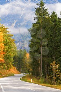 Road in the mountains of beginners yellowing pines and spruces. Beautiful autumn day in the Austrian Alps