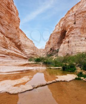 Very picturesque canyon Ein Avdat in the Negev desert. Yellow-brown canyon walls are reflected in smooth water stream Zin