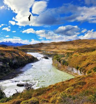 National Park Torres del Paine, Patagonia, Chile. The river bends between the hills. Huge black Andean condors flying over water