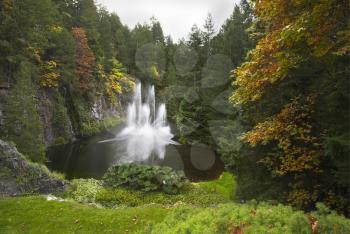  A magnificent fountain jet  in the lake surrounded by a dense forest