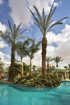 The ornate pool in an environment of palm trees and awnings