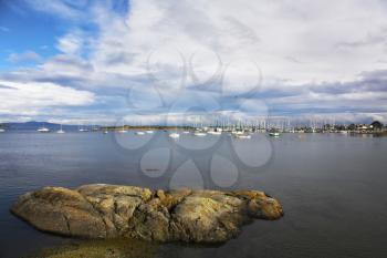 Yachts in sound  and coastal park on island Vancouver
