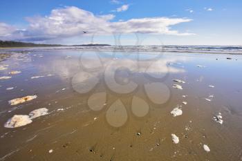 Wide sandy beach and the rests of sea foam on an edge of water 