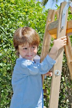 The charming little boy with a smile poses on step-ladder. In the background - spring green hedges