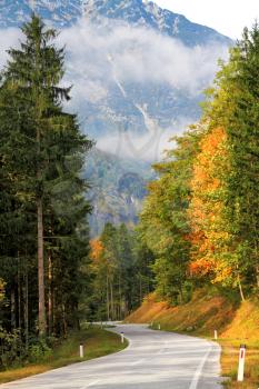 Road in the mountains of beginners yellowing pines and spruces. Beautiful autumn day in the Austrian Alps