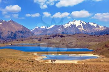 A great blue lake in a secluded valley in South America. The valley is located between the snow-capped mountains
