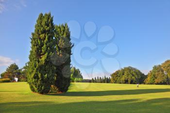 A large green fields and picturesque cypress trees in a landscaped park Sigurta. Northern Italy, summer, sunset