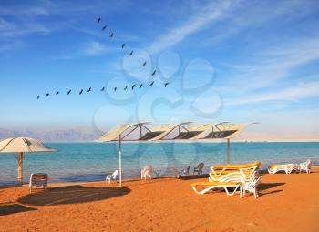 A nice sunny day at the Dead Sea resort. Yellow beach chairs and umbrellas waiting for tourists. Over the sea flying flock of cranes
