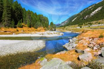Headwaters Krimml waterfalls. Autumn creek shallow. Austrian Alps. The narrow stream flows between fields and pine forests