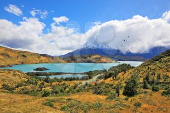 Journey to the End of the World. Magnificent national park Torres del Paine, Chile. Emerald river water, yellow grass of flat coast