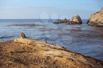 A little warm lagoon in the Reserve Point Lobos on the Pacific Ocean. USA, California