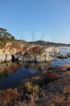 Rocky Pacific coast in the Reserve Point Lobos. Multicolored moss reflected in the calm water a small bay