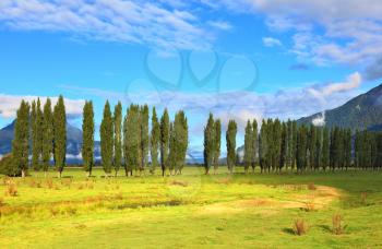 Along green fields avenues of cypresses grow. Rural areas in the Chilean Patagonia. Mountain range is visible in the distance