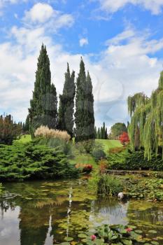 Fabulously beautiful Italian garden Sigurta. A pond with blossoming lilies. In the mirror of waters reflected cypress