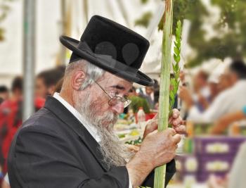 JERUSALEM, ISRAEL - SEPTEMBER 18, 2013: The gray-bearded religious Jew in a black hat carefully chooses ritual plant - myrtle for Sukkot.