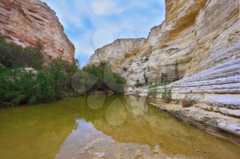 Unique canyon in the Negev Desert - En - Avdat. Striped sandstone walls and a stream at the bottom of the canyon.