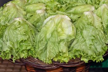Cabbage hasa-salad, arranged in a wicker basket