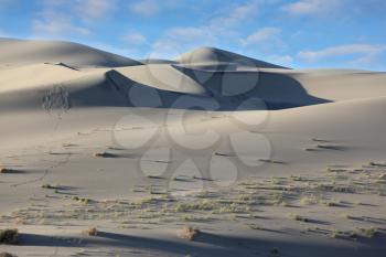 Eureka - a huge sand dune at sunrise. A thin ridge of dunes and deep shadows in the hollows. California, USA