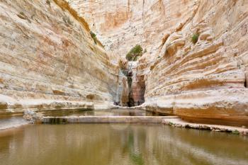 Canyon Ein Avdat in Israel. Sandstone canyon walls form a round bowl. Thin jet waterfall form cold lake