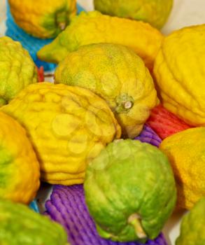 Jewish autumn holiday of Sukkot. Ritual fruit - citrus on the counter traditional bazaar in Jerusalem