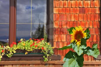 Dachstein huge tourist complex in Austrian Alps. Picturesque popular cafe window with flower pots and a large sunflower