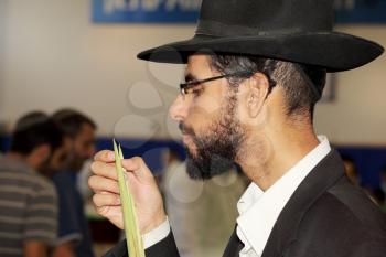 BNEY-BRAK, ISRAEL - SEPTEMBER 17, 2013: The young man in black hat with brim and thin glasses carefully considering the branch of myrtle. The traditional holiday bazaar before Sukkot