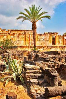  A harmonous palm tree on a background of ancient port Caesaria on coast of Mediterranean sea