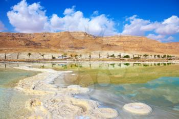 Salt formed a long track with scalloped edges in the Dead Sea. Along the shore with palm trees. Israel in October