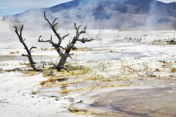 Improbably fantastic landscape in Yellowstone national Park