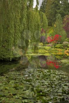 Lake and trees in well-known gardens Butchart Gardens on island 