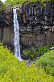 Magnificent waterfall Svartifoss in Icelandic Skaftafell park. Black basalt faces framed by a jet of water