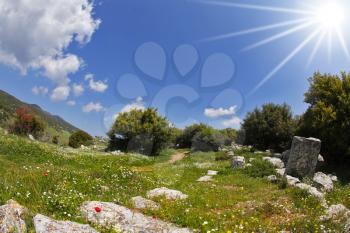 Clear and warm spring day on blossoming hills of the Mediterranean